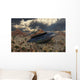 Artist Concept Roswell Incident 1 Wall Decal