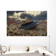Artist Concept Roswell Incident 1 Wall Decal