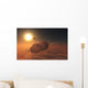Russian Soyuz Spacecraft Orbit Wall Decal