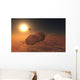 Russian Soyuz Spacecraft Orbit Wall Decal
