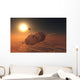 Russian Soyuz Spacecraft Orbit Wall Decal