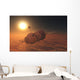 Russian Soyuz Spacecraft Orbit Wall Decal