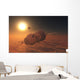 Russian Soyuz Spacecraft Orbit Wall Decal