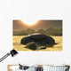 Flying Saucer Crashed Desert Bright Sun Wall Decal
