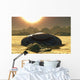Flying Saucer Crashed Desert Bright Sun Wall Decal
