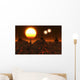 Proxima B Planet Orbiting Stars Wall Decal