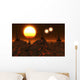 Proxima B Planet Orbiting Stars Wall Decal