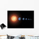 Artist's Concept Trappist-1 Star Size Reference Wall Decal