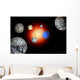 Artist's Concept Trappist-1 Star Cluster Wall Decal