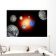 Artist's Concept Trappist-1 Star Cluster Wall Decal