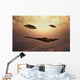 B-2 Spirit Stealth Bomber UFOs Chasing Wall Decal