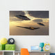 B-2 Spirit Stealth Bomber UFOs Evening Wall Decal