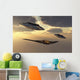 B-2 Spirit Stealth Bomber UFOs Evening Wall Decal