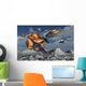 Us Military Antarctic during Wall Decal