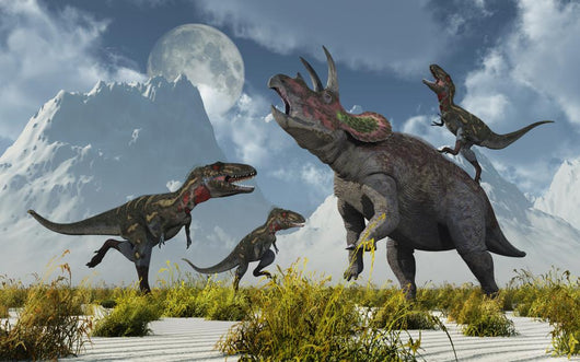 Pack Nanotyrannus Dinosaurs Attacking Desert Wall Decal