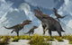 Pack Nanotyrannus Dinosaurs Attacking Desert Wall Decal