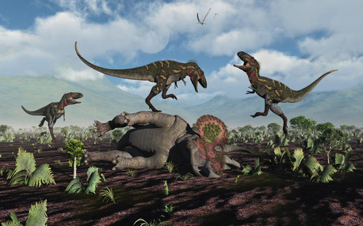 Pack Nanotyrannus Dinosaurs Attacking Wall Decal