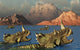 Centrosaurus Dinosaurs Migrating Close-up Wall Decal