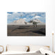 Allosaurus Dinosaurs Approach Group Wall Decal