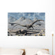 Petrified Diplodocus Dinosaurs from Wall Decal
