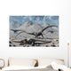 Petrified Diplodocus Dinosaurs from Wall Decal