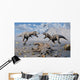 Petrified Tyrannosaurus Rex and Wall Decal
