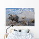 Petrified Triceratops Dinosaurs from Wall Decal