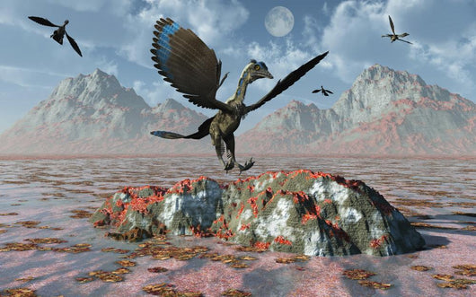 Archaeopteryx Landing Rock during Wall Decal