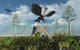 Archaeopteryx Takes Flight from Wall Decal