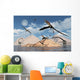 Eudimorphodons from Triassic Period Wall Decal