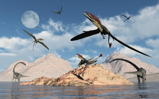 Eudimorphodons from Triassic Period Wall Decal
