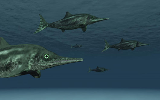 Stenopterygius Ichthyosaurs Swimming Underwater Murky Wall Decal