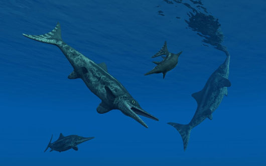 Stenopterygius Ichthyosaurs Swimming Underwater Wall Decal