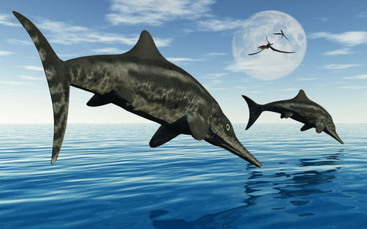 Pair Stenopterygius Ichthyosaurs Jumping Wall Decal