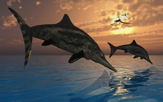 Pair Stenopterygius Ichthyosaurs Jumping Evening Wall Decal