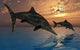 Pair Stenopterygius Ichthyosaurs Jumping Evening Wall Decal