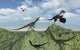 Juravenators Chasing Archaeopteryx Wall Decal