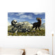 Smilodon Saber-toothed Cat Discovers Wall Decal