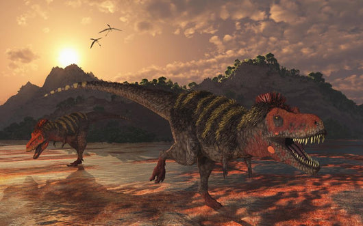 Pair Tarbosaurus Dinosaurs Scavaging Wall Decal