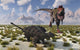 Tarbosaurus Dinosaur Approaching Pinacosaurus Wall Decal