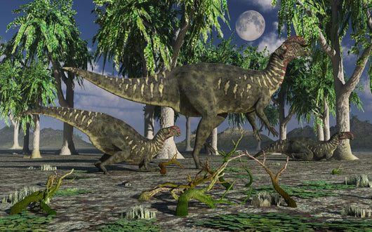Group Altirhinus Dinosaurs Wall Decal