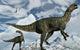 Pair Altirhinus Dinosaurs Cretaceous Wall Decal