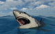 Giant Megalodon Shark Wall Decal