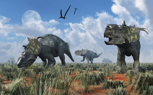 Herd Pachyrhinosaurus Dinosaurs Wall Decal