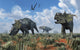 Herd Pachyrhinosaurus Dinosaurs Wall Decal
