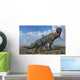 Pachyrhinosaurus Confronting Carnotaurus Desert Wall Decal