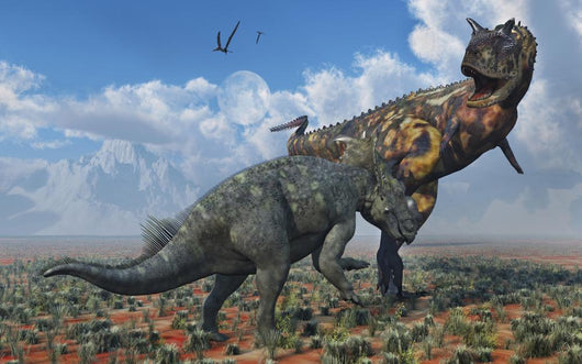 Pachyrhinosaurus Confronting Carnotaurus Desert Wall Decal