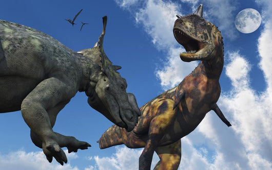 Pachyrhinosaurus Confronting Carnotaurus Close-up Wall Decal