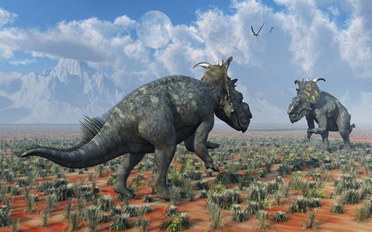 Pair Male Pachyrhinosaurus Sizing Close-up Wall Decal