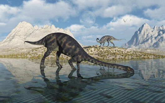 Pair Massospondylus Watering Hole Wall Decal